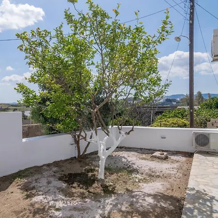 Zanart Maisonette Ii